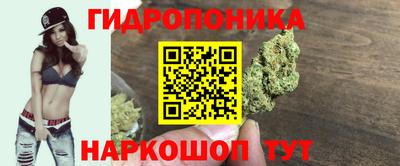 марки lsd Заводоуковск