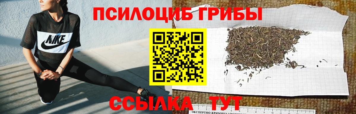 Галлюциногенные грибы мухоморы  как найти наркотики  Ленинск-Кузнецкий  Псилоцибиновые грибы Psilocybe  Вход с VPN 